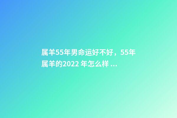 属羊55年男命运好不好，55年属羊的2022 年怎么样 55年7月属羊男命运-第1张-观点-玄机派